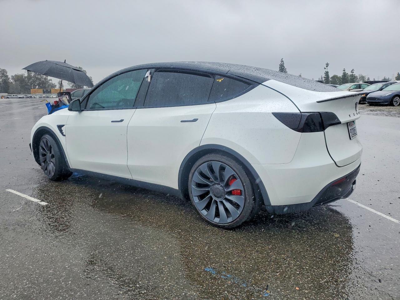 2025 Tesla Model y