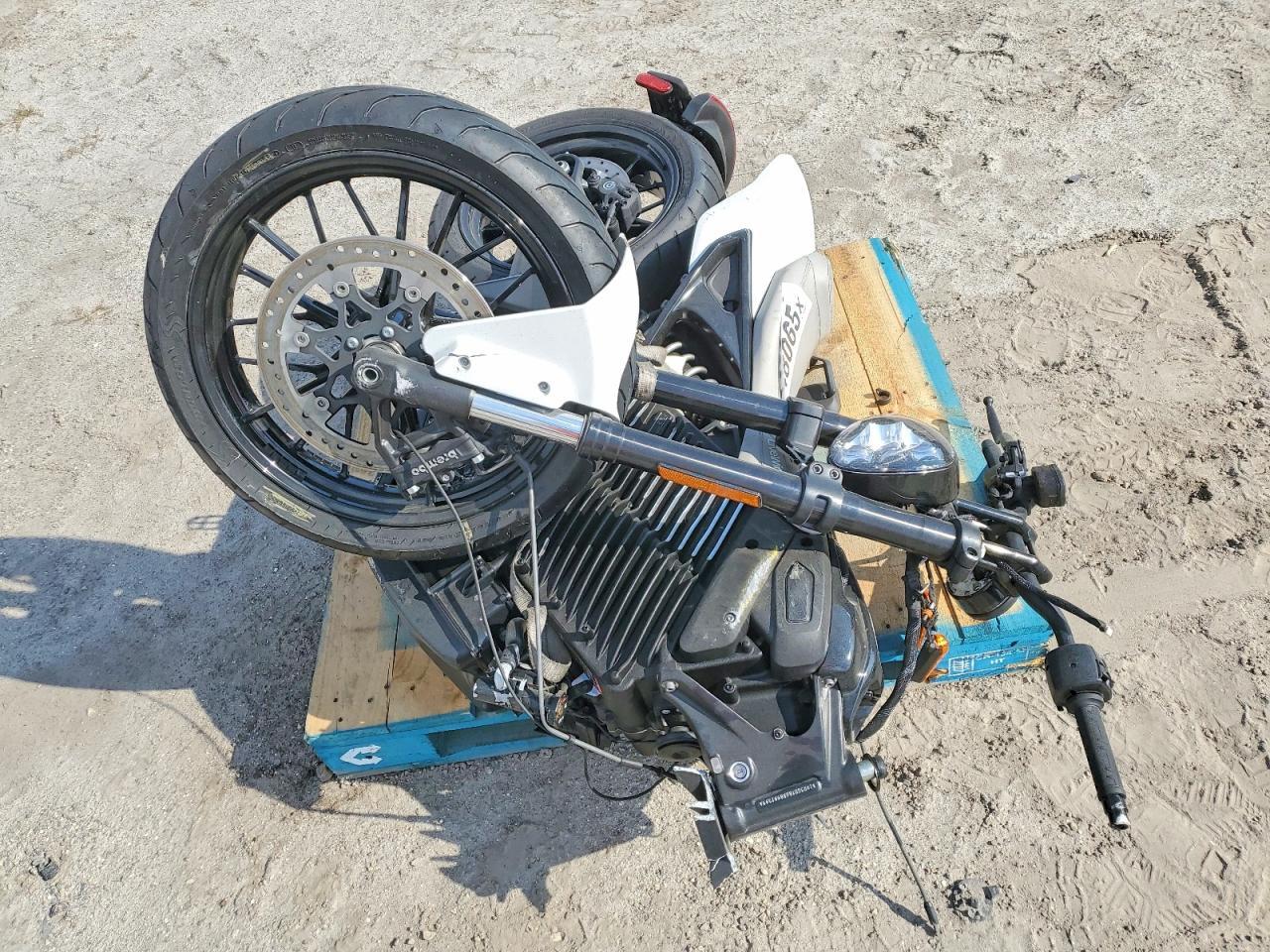 2024 Livewire S2MH