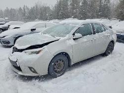 Toyota Corolla salvage cars for sale: 2016 Toyota Corolla l