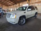 2009 Cadillac Escalade Luxury