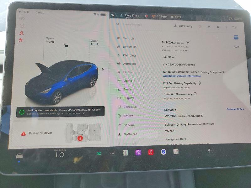 2023 Tesla Model y