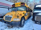 2019 Blue Bird School Bus / Transit Bus