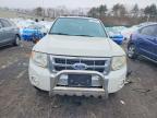 2010 Ford Escape Limited