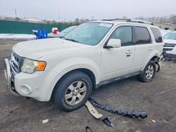 Ford salvage cars for sale: 2010 Ford Escape Limited
