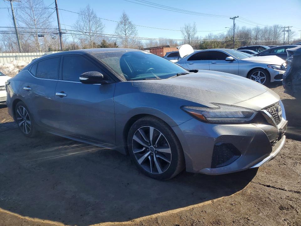 2023 Niss Maxima 3.5 sv