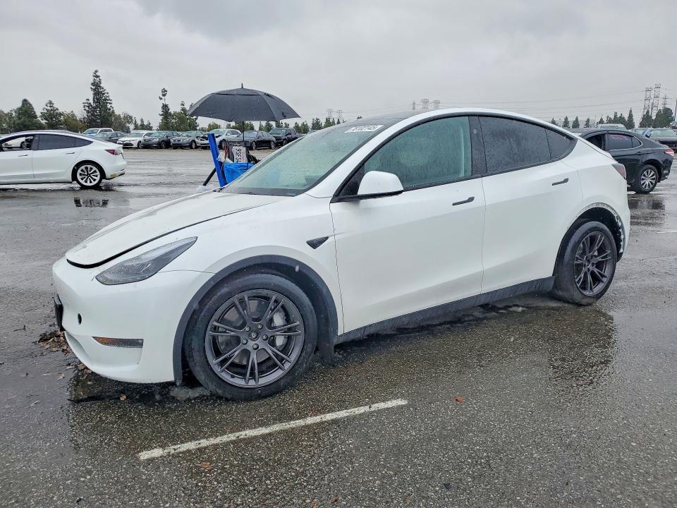 2025 Tesla Model y