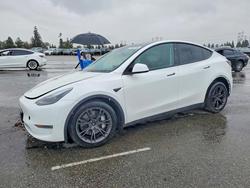 Salvage cars for sale from Copart Rancho Cucamonga, CA: 2025 Tesla Model y