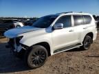 2023 Lexus Gx 460 Luxury