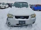 2006 Ford Escape hev