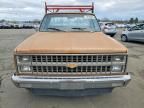 1981 Chevrolet C20