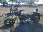 2021 Harley-Davidson Flsl