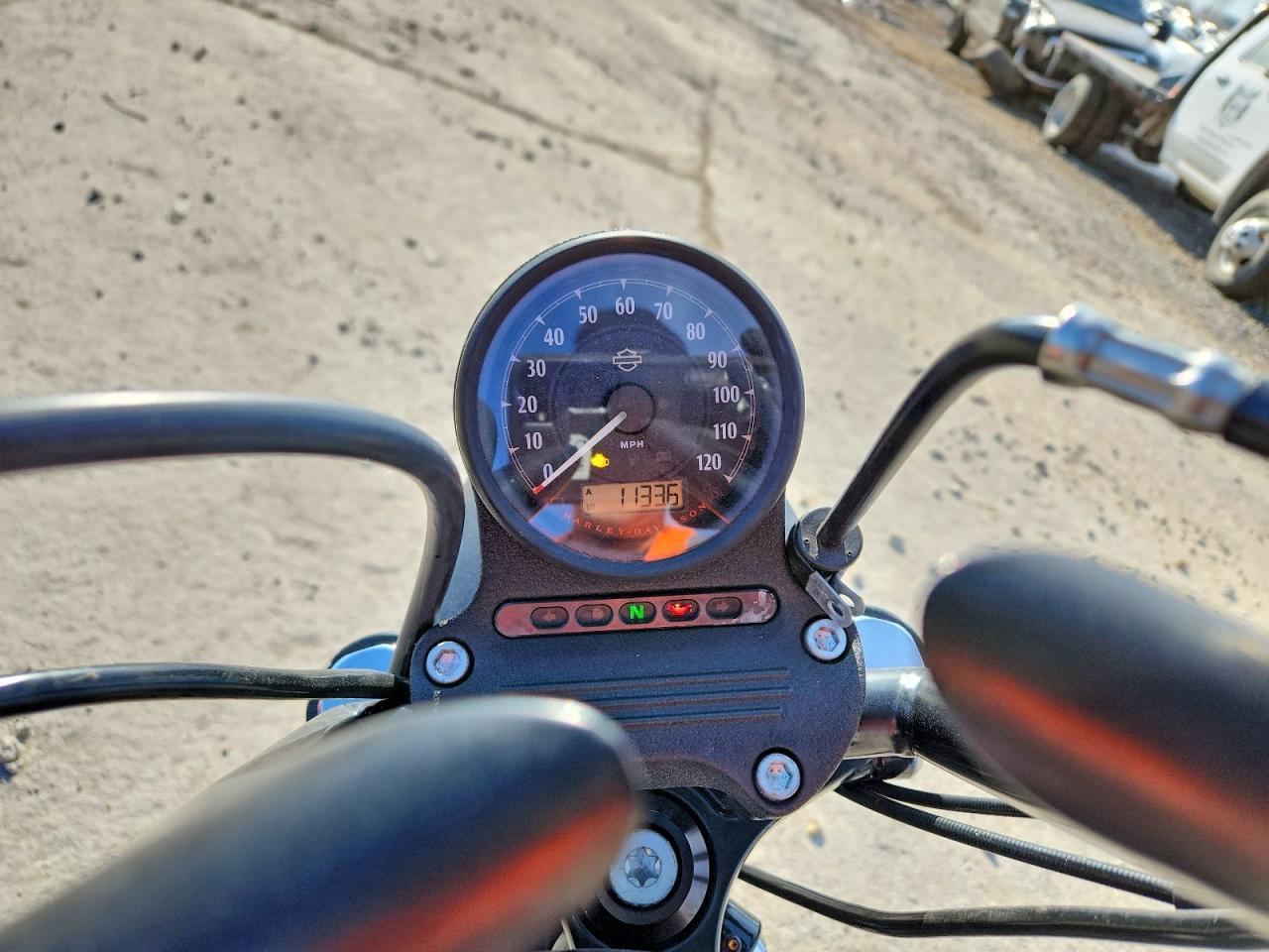 2019 Harley-Davidson XL883 N