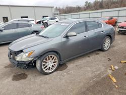 2014 Nissan Maxima s en venta en Grenada, MS