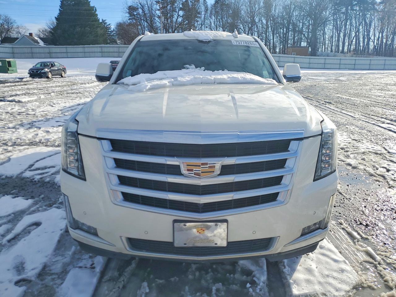 2015 Cadillac Escalade esv Luxury