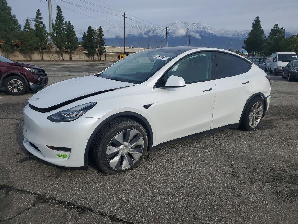 2022 Tesla Model y