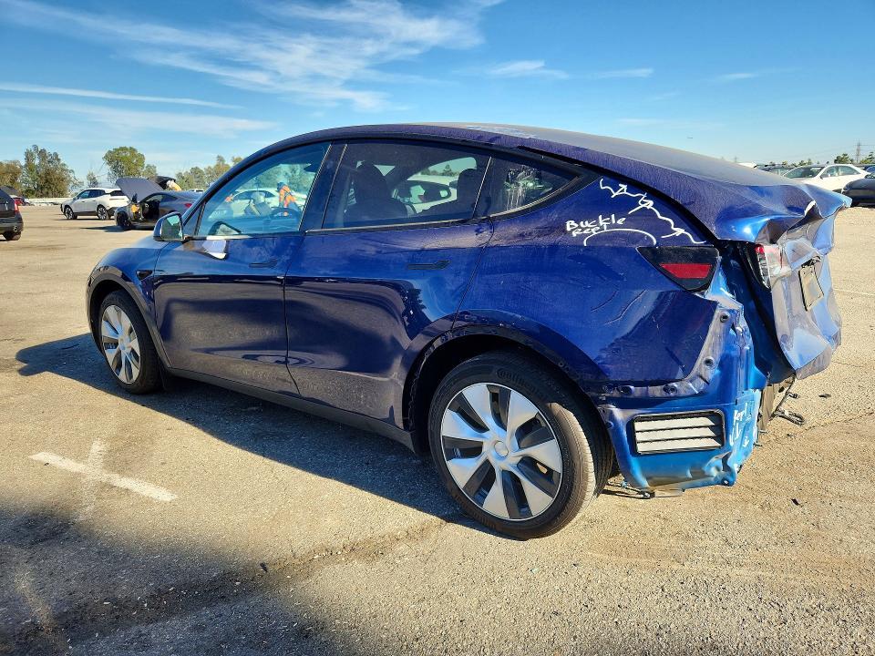 2024 Tesla Model y