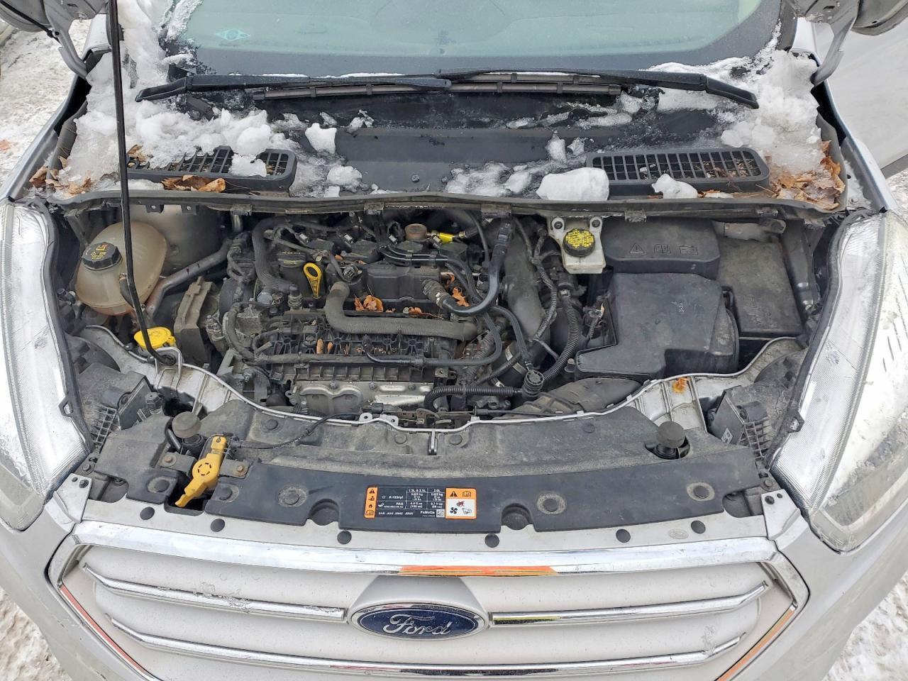 2019 Ford Escape sel