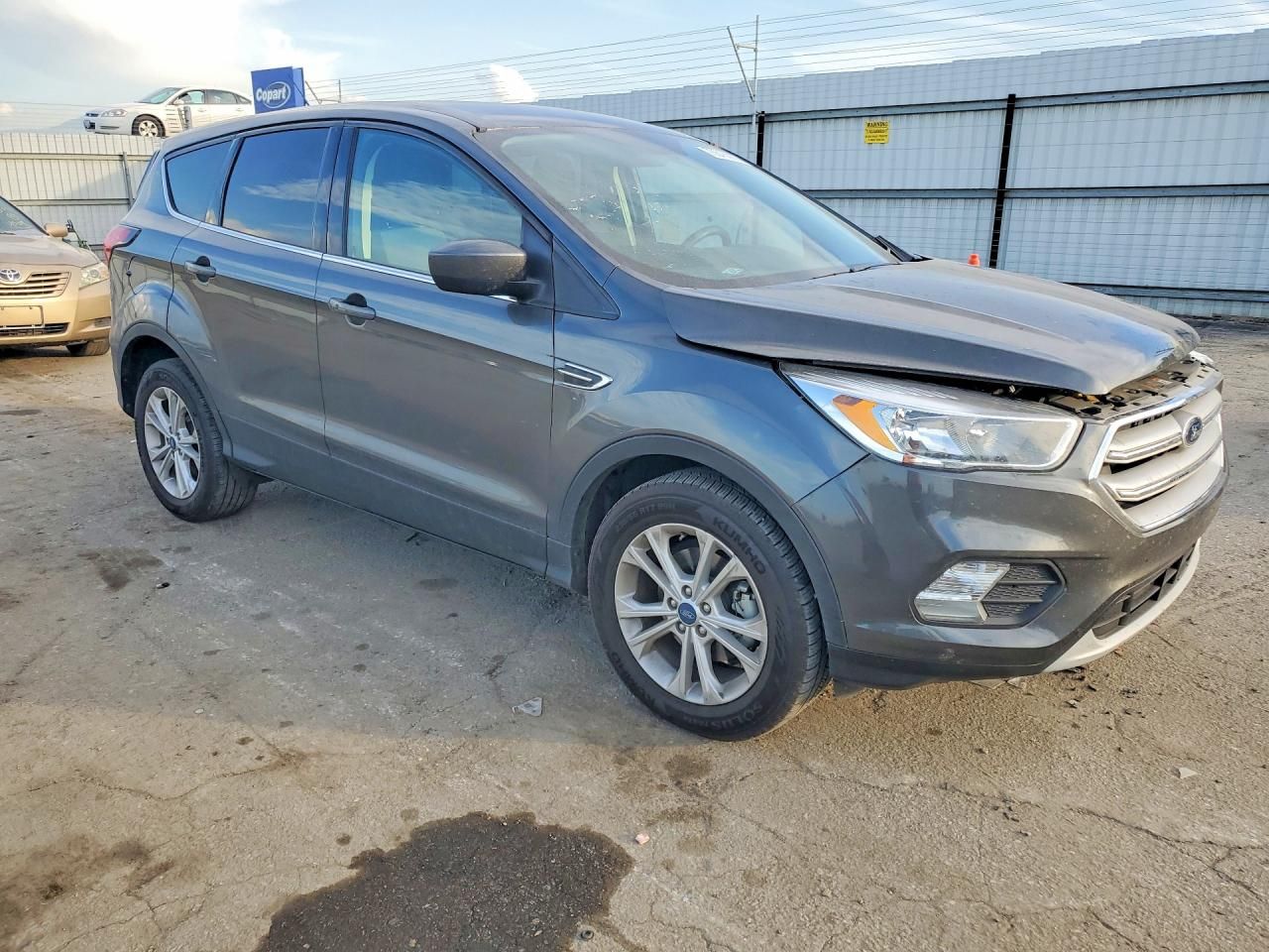 2019 Ford Escape se