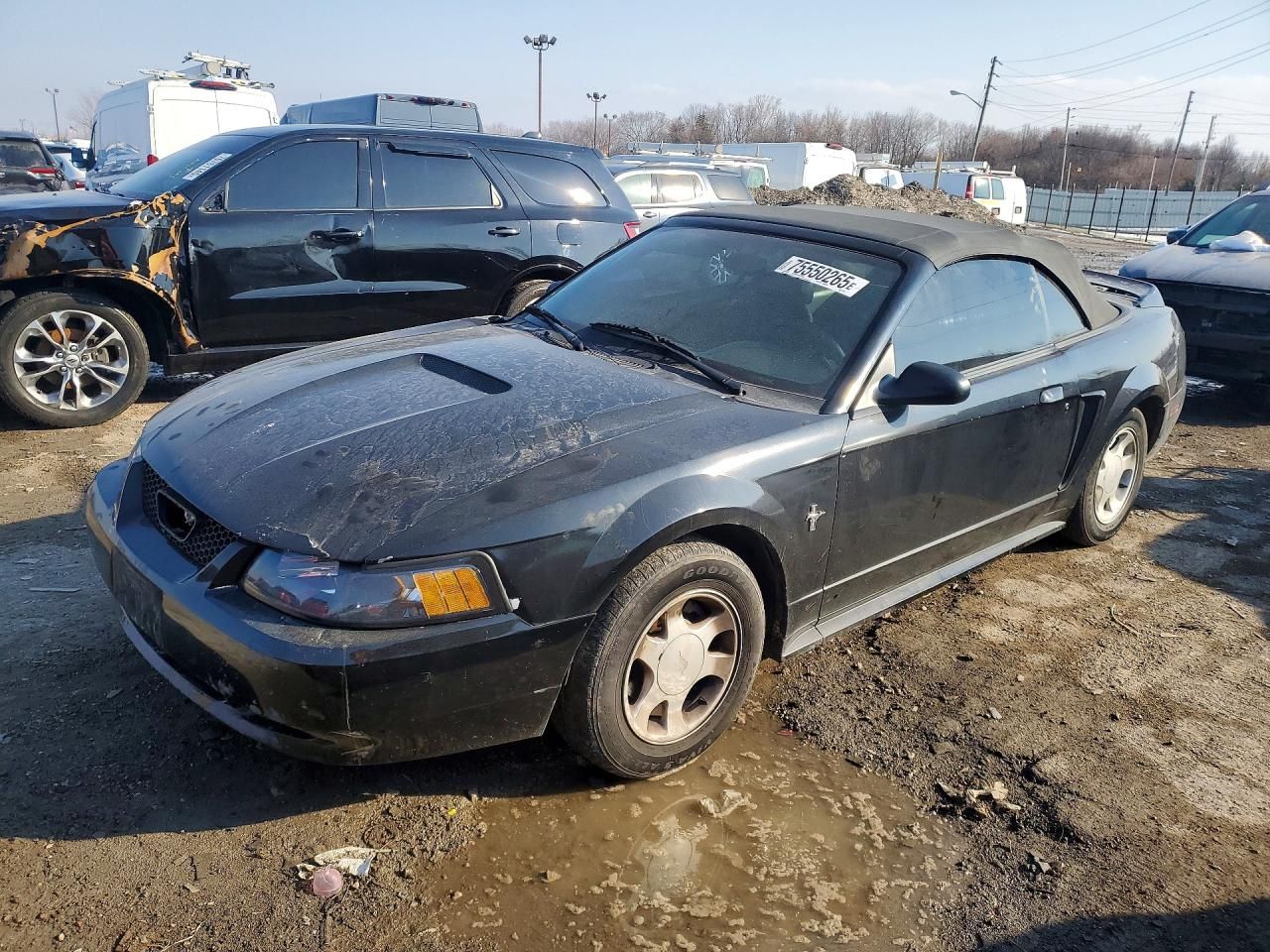 2000 Ford Mustang