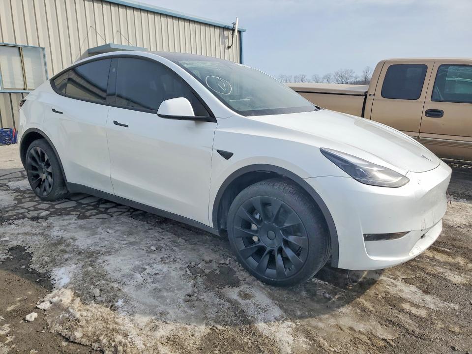 2025 Tesla Model y