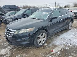 2010 Honda Accord Crosstour exl for sale in Hillsborough, NJ
