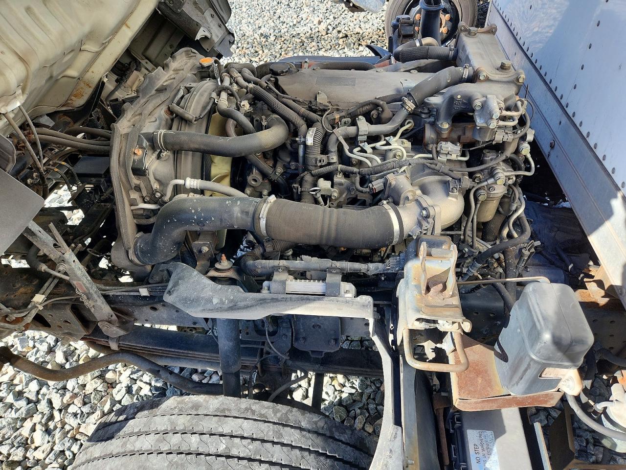2019 Isuzu NQR BOX Truck