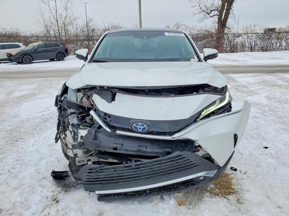 2024 Toyota Venza le