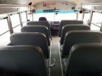 2019 Blue Bird School Bus / Transit Bus