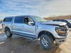 2024 Ford F150 XLT