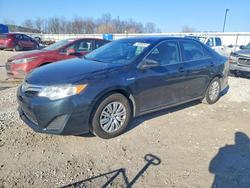 2014 Toyota Camry Hybrid for sale in Lawrenceburg, KY