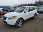 2009 Hyundai Santa fe se