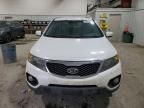 2011 KIA Sorento Base