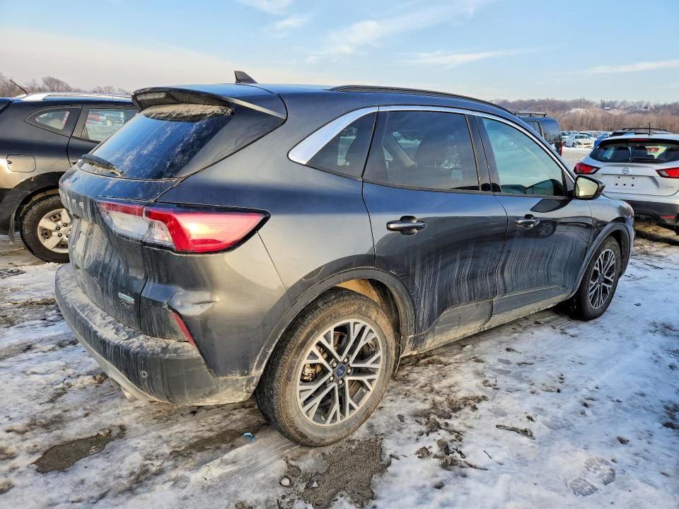 2020 Ford Escape sel