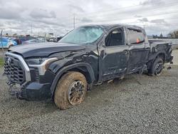 Salvage cars for sale from Copart Eugene, OR: 2024 Toyota Tundra SR5