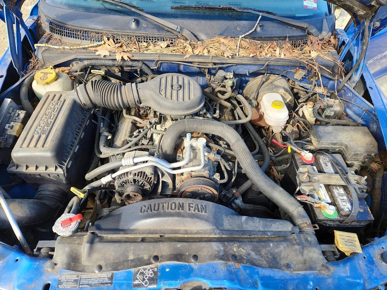 1999 Dodge Dakota