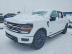 2025 Ford F150 xlt