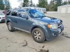 2009 Ford Escape Limited