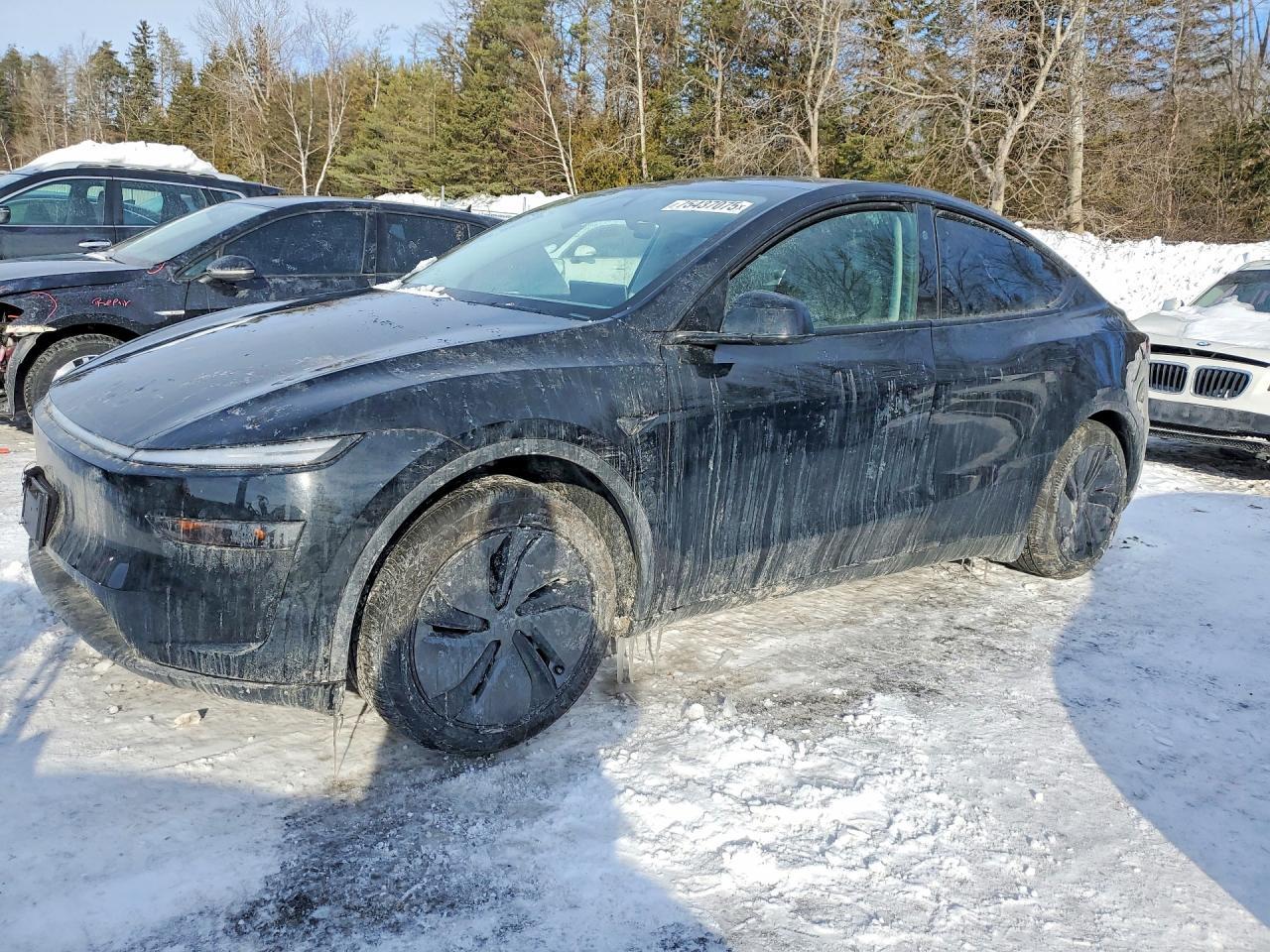2026 Tesla Model y