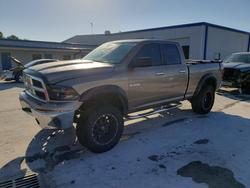 Salvage trucks for sale at Fort Pierce, FL auction: 2010 Dodge RAM 1500