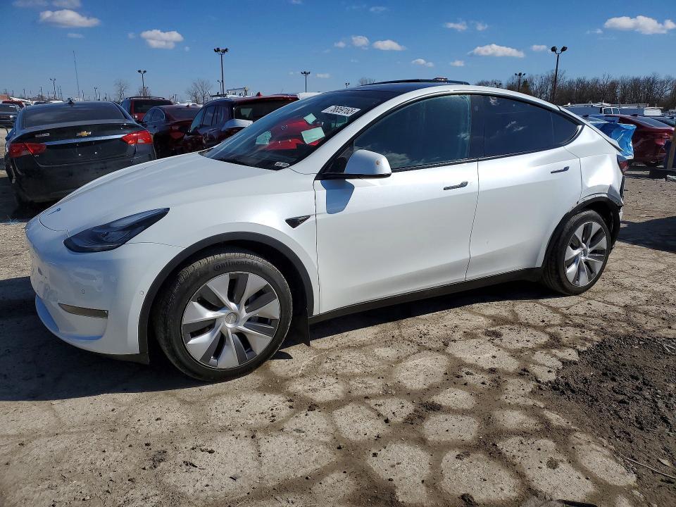 2022 Tesla Model y