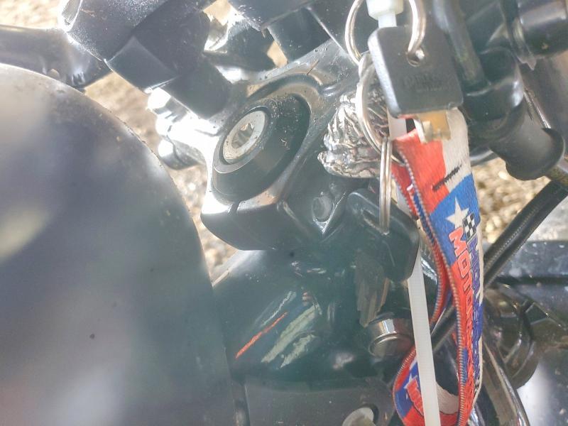 2021 Harley-Davidson XL883 N