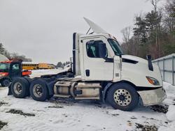 Freigliner Vehiculos salvage en venta: 2024 Freigliner 2024 Freightliner Cascadia 116 Semi Truck