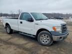 2013 Ford F150