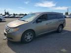 2011 Honda Odyssey exl