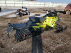 2023 Skidoo Dapz SM REN XRS 9ATR