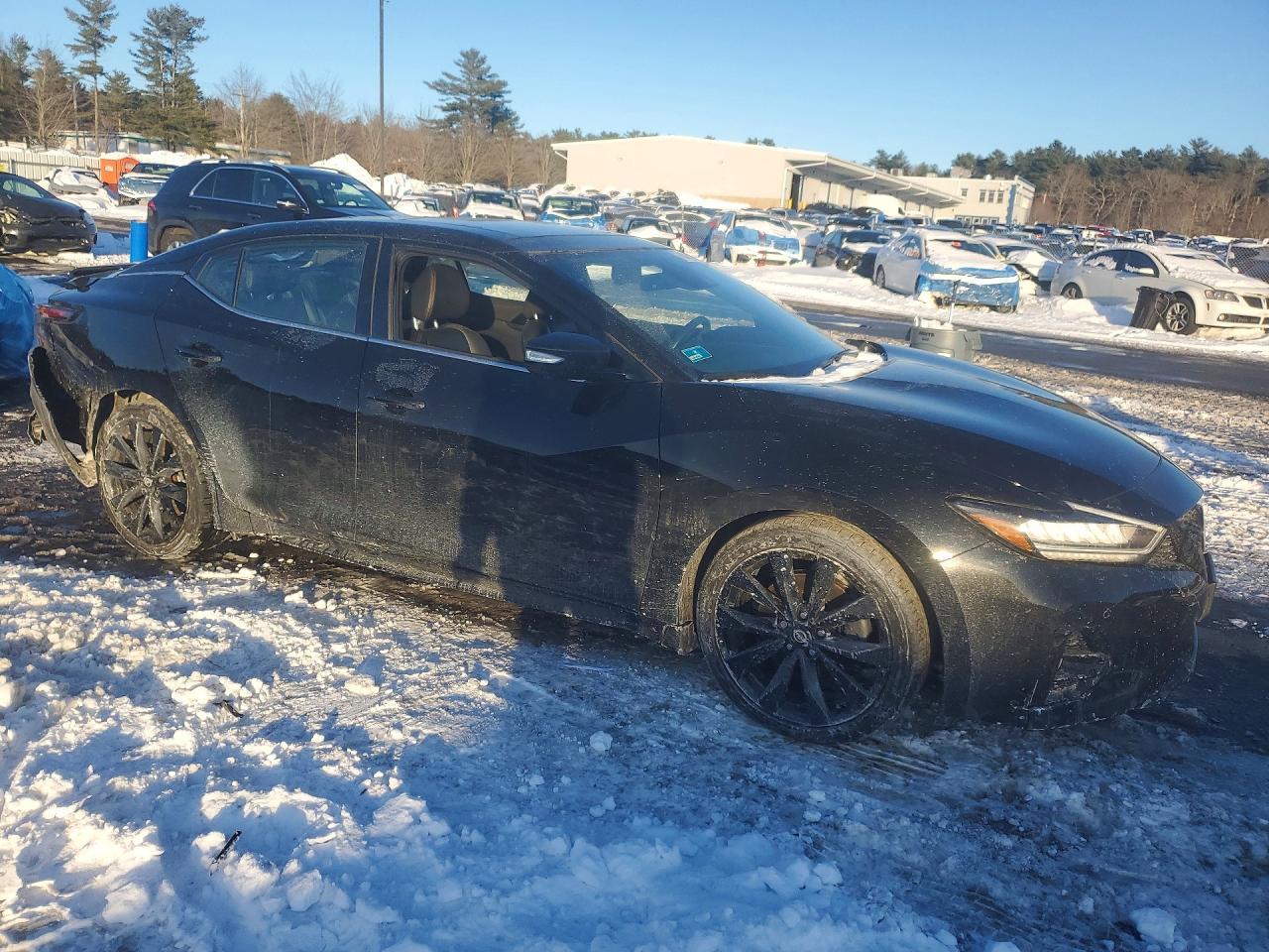 2023 Nissan Maxima sr