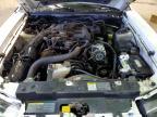 2004 Ford Mustang