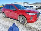 2024 Ford Escape st Line
