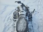 2025 Skidoo Adrenaline