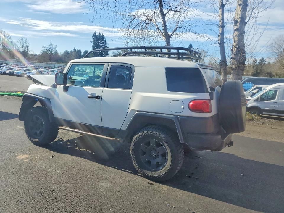 2010 Toyota Fj Cruiser